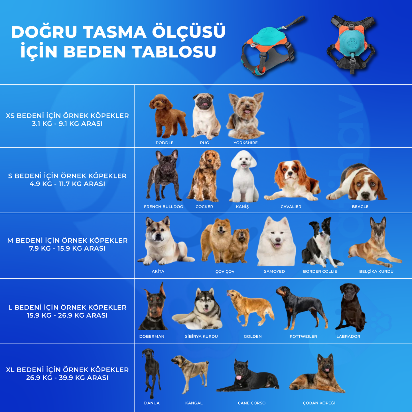 PatiHav™ 2’si 1 Arada Akıllı Köpek Göğüs Tasması + Entegre Kayış