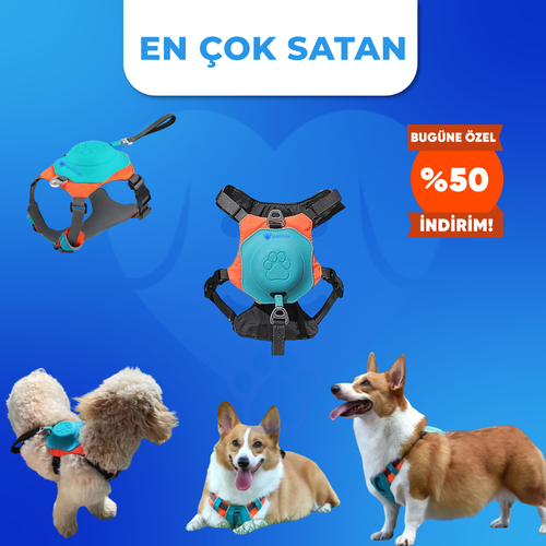 PatiHav™ 2’si 1 Arada Akıllı Köpek Göğüs Tasması + Entegre Kayış