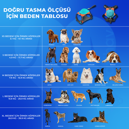 PatiHav™ 2’si 1 Arada Akıllı Köpek Göğüs Tasması + Entegre Kayış